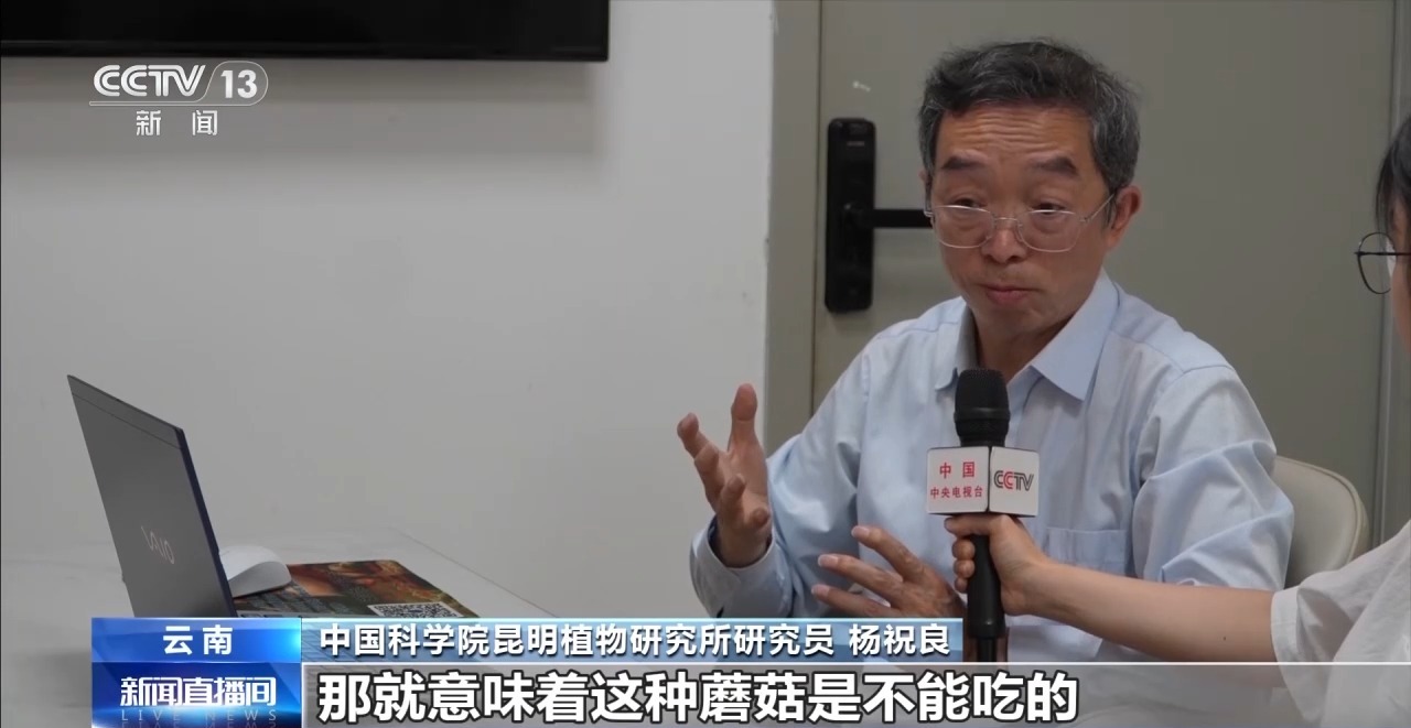 又到野生菌中毒高发季 专家教你如何正确识菌