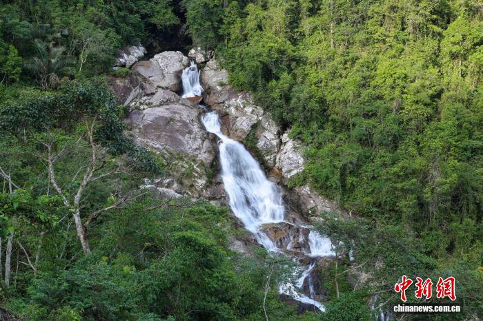 探访海南热带雨林国家公园:雨林探秘觅清凉