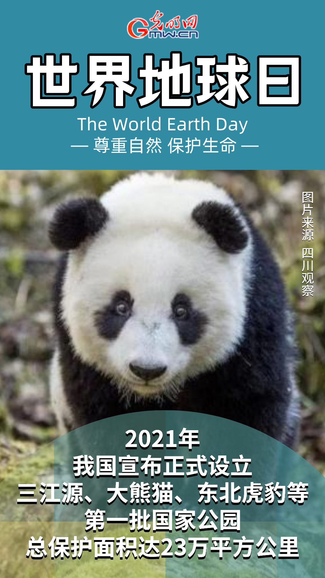 海报丨【世界地球日】与自然和谐共生&nbsp;我国走出这样的路