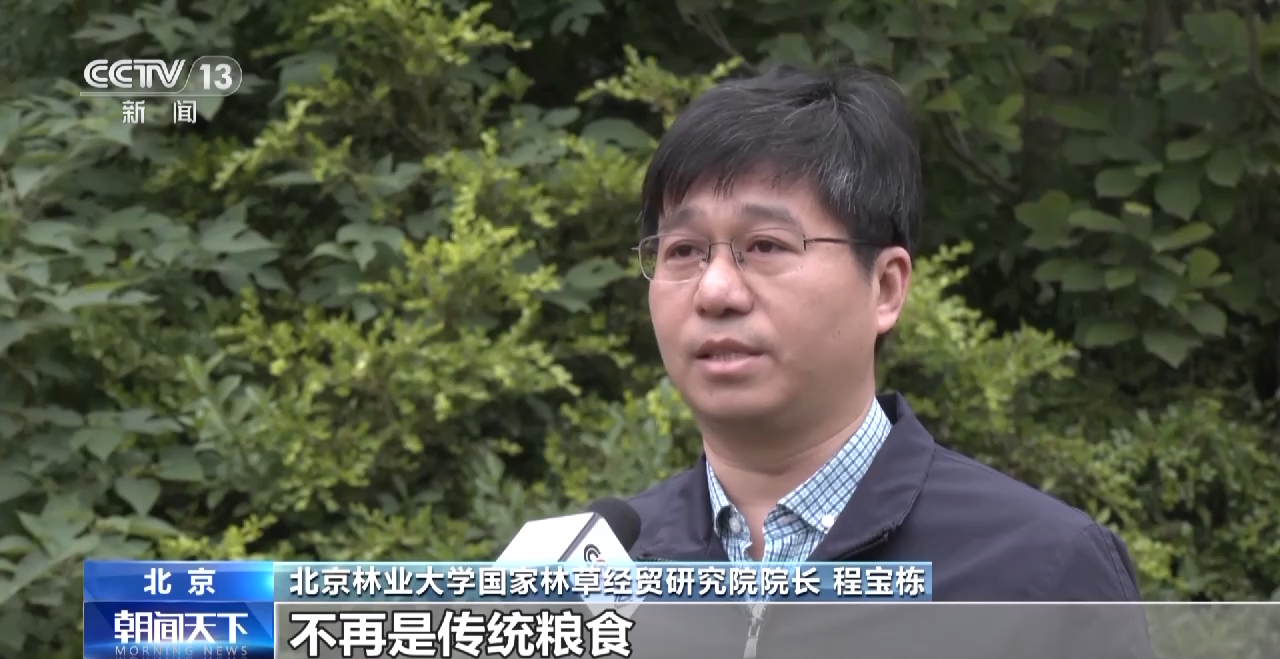 践行大食物观 森林“粮库”让中国饭碗更“丰盛”
