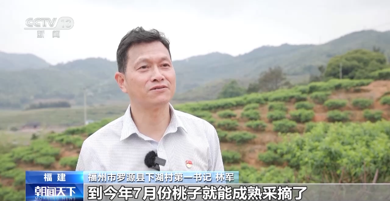 践行大食物观 森林“粮库”让中国饭碗更“丰盛”