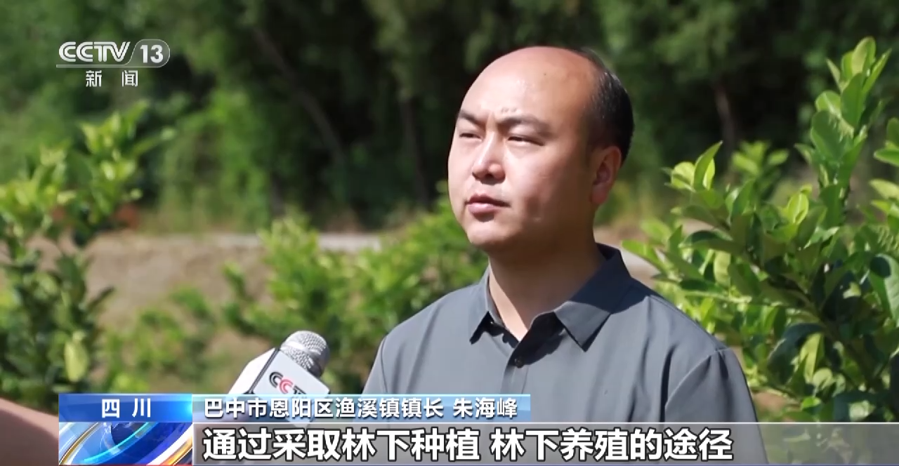 践行大食物观 森林“粮库”让中国饭碗更“丰盛”