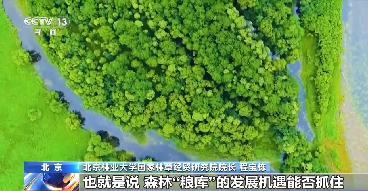 践行大食物观 森林“粮库”让中国饭碗更“丰盛”