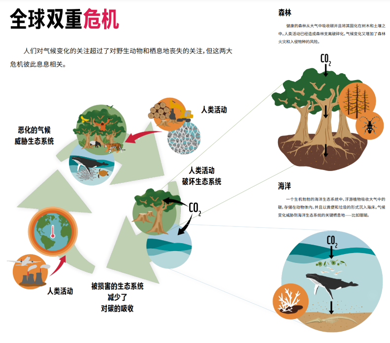 国际生物多样性日丨关于生物多样性你需要知道什么