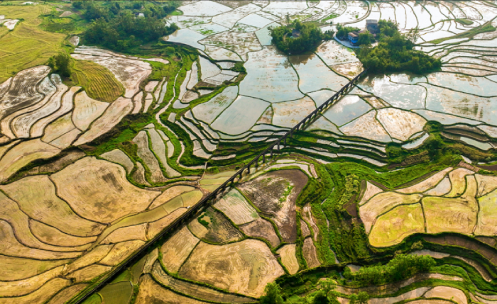 国际生物多样性日丨关于生物多样性你需要知道什么