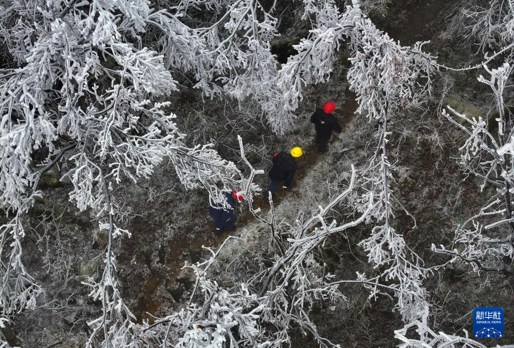 新春走基层丨广西：鏖战冰雪保供电