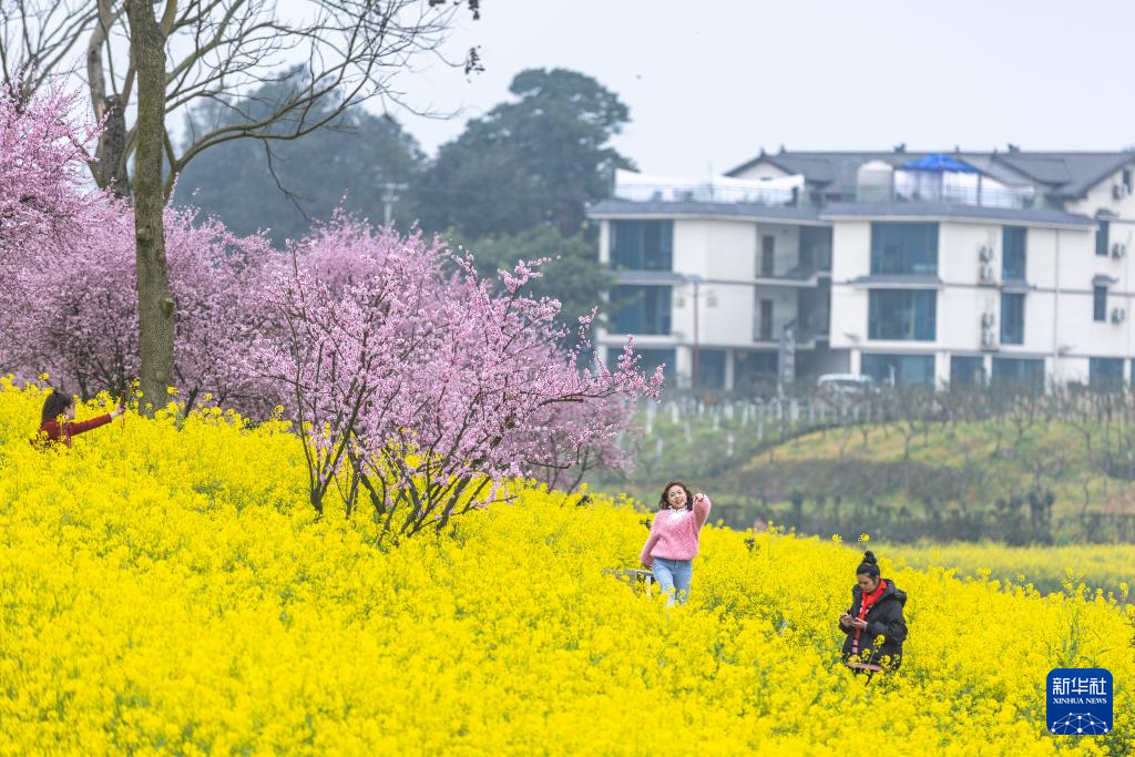 重庆：暖风微拂 花开大地