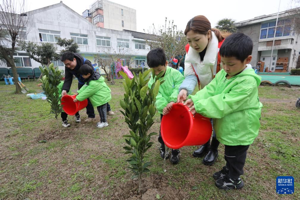 迎接植树节