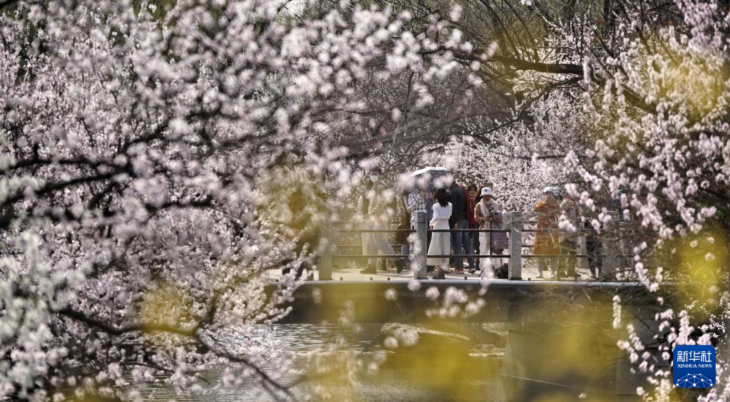 北京：踏青赏花度周末