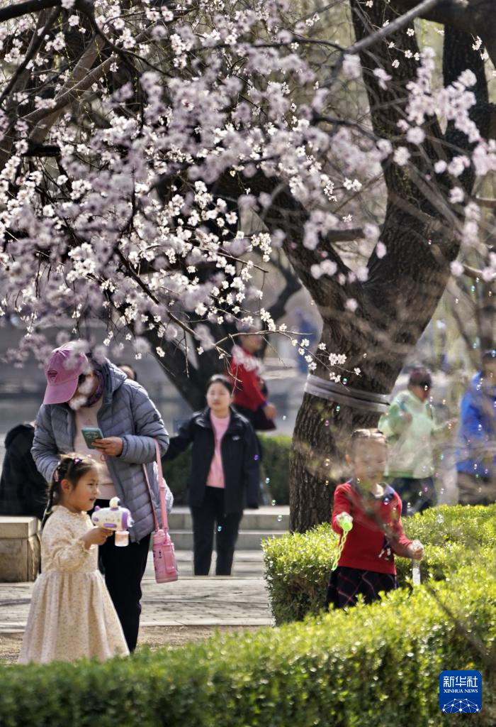 北京：踏青赏花度周末