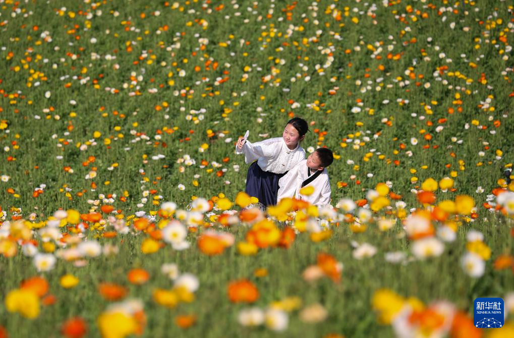 花开神州春光好