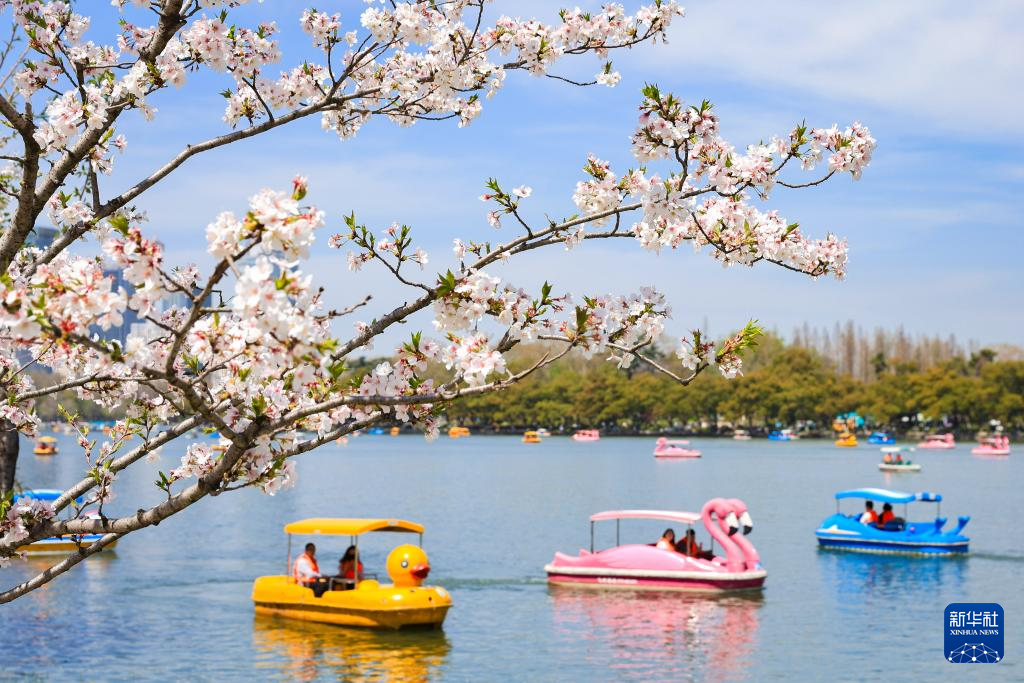 花开神州春光好