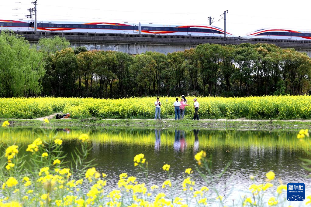 花开神州春光好