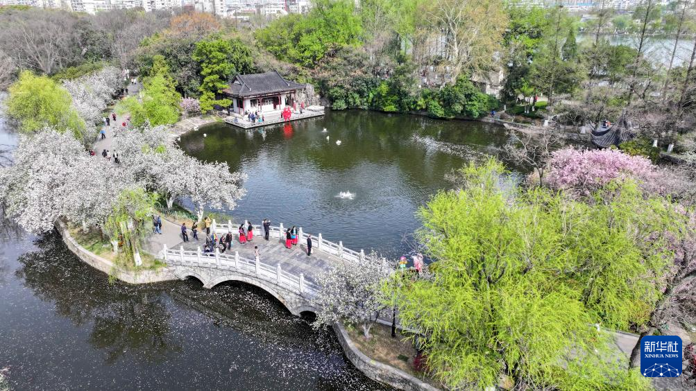 花开神州春光好