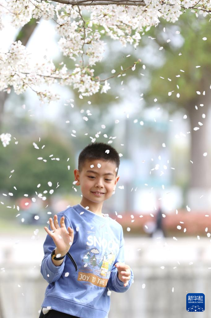 花开神州春光好