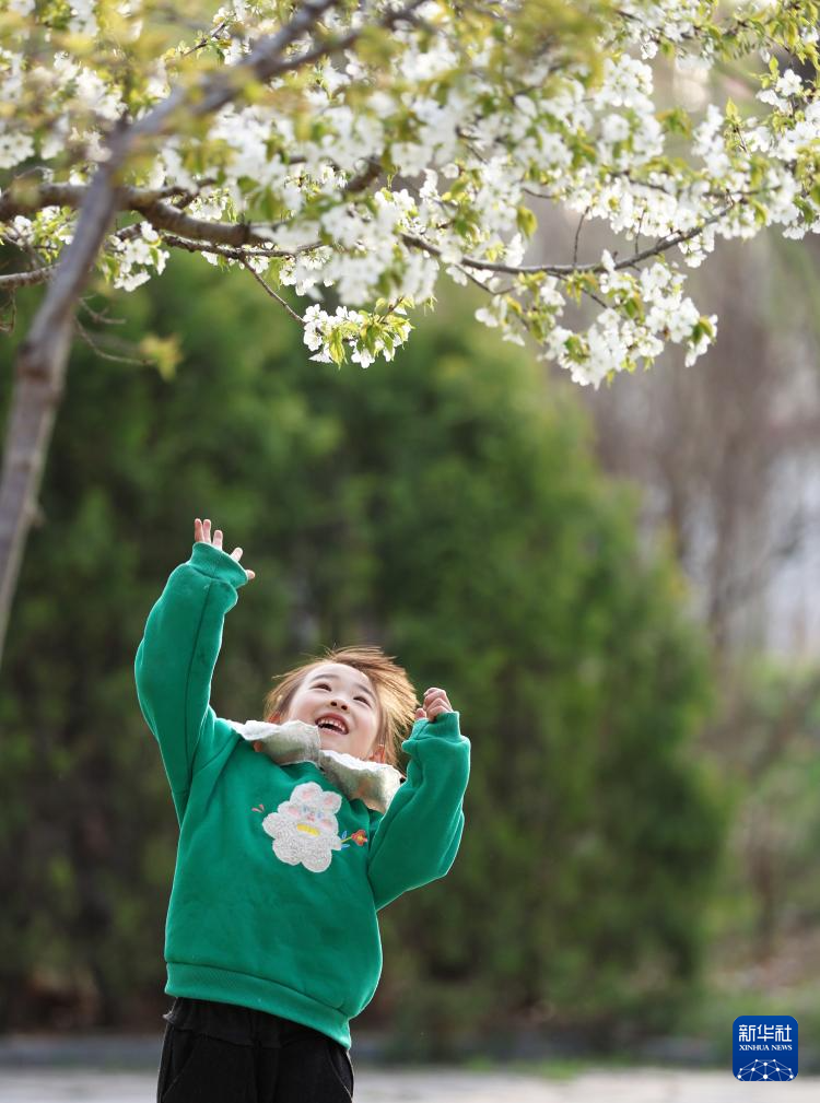 花开神州春光好