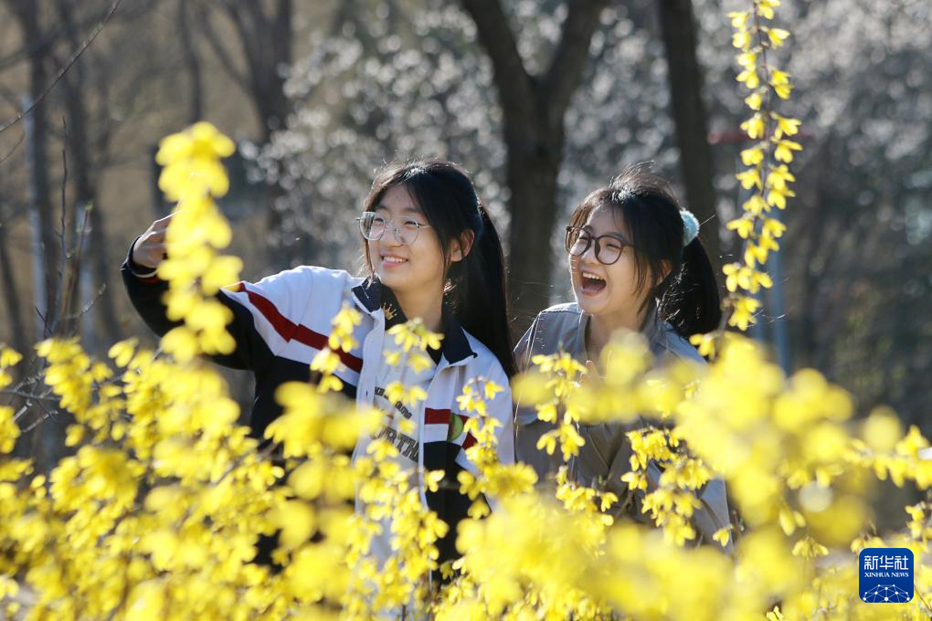 花开神州春光好