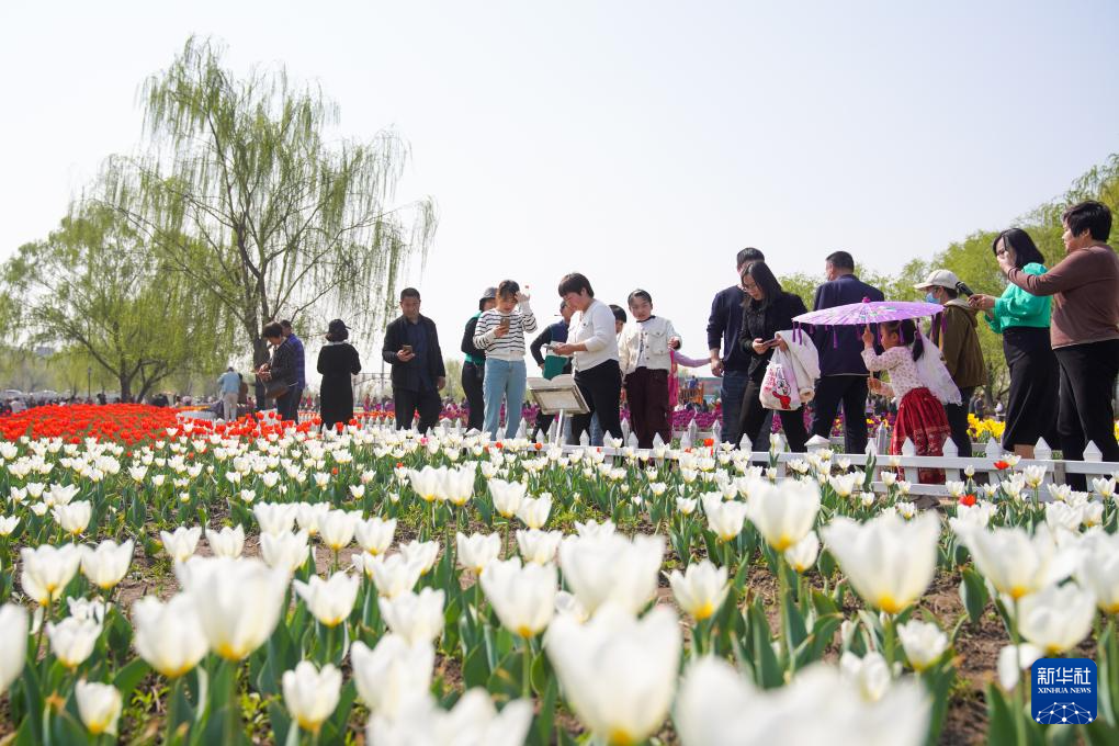 多彩的假日