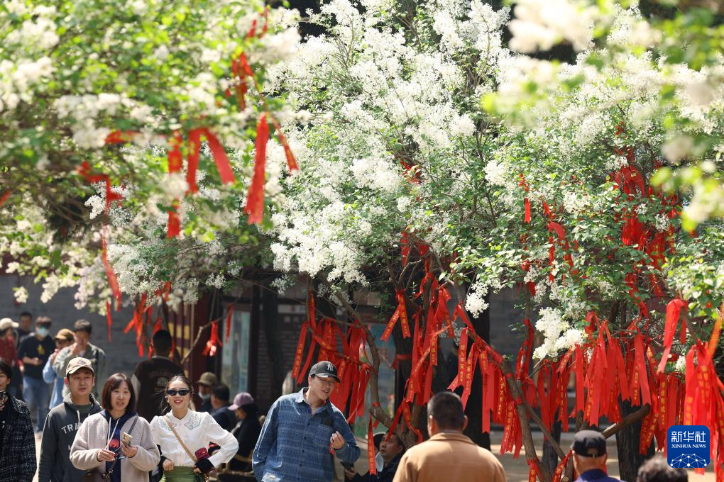 多彩的假日