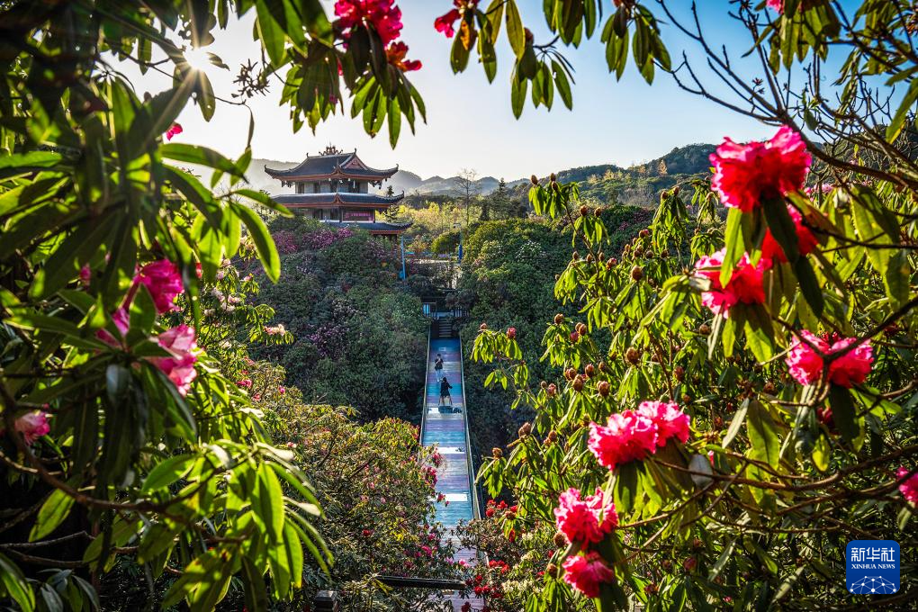 诗意中国丨春日上春山