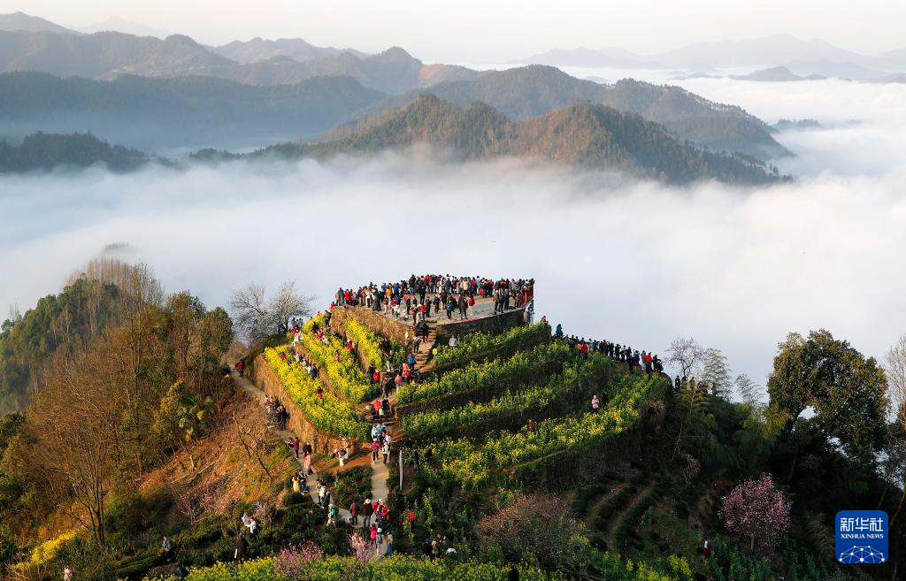 诗意中国丨春日上春山