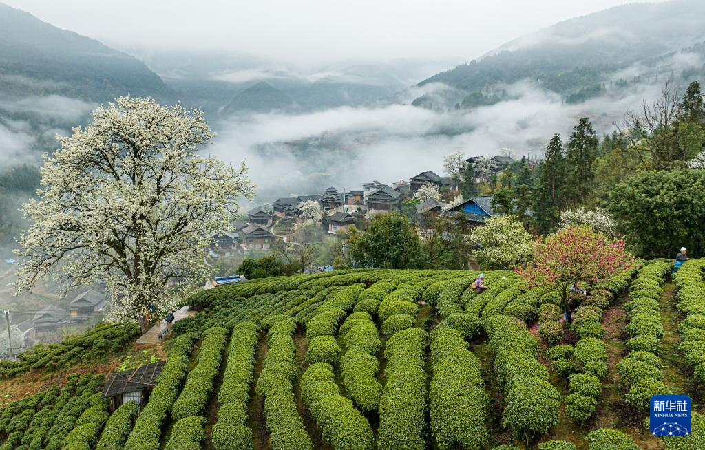 诗意中国丨春日上春山