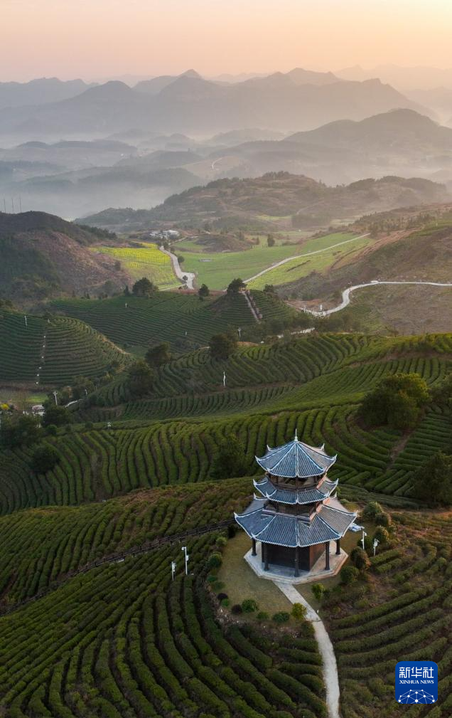 诗意中国丨春日上春山