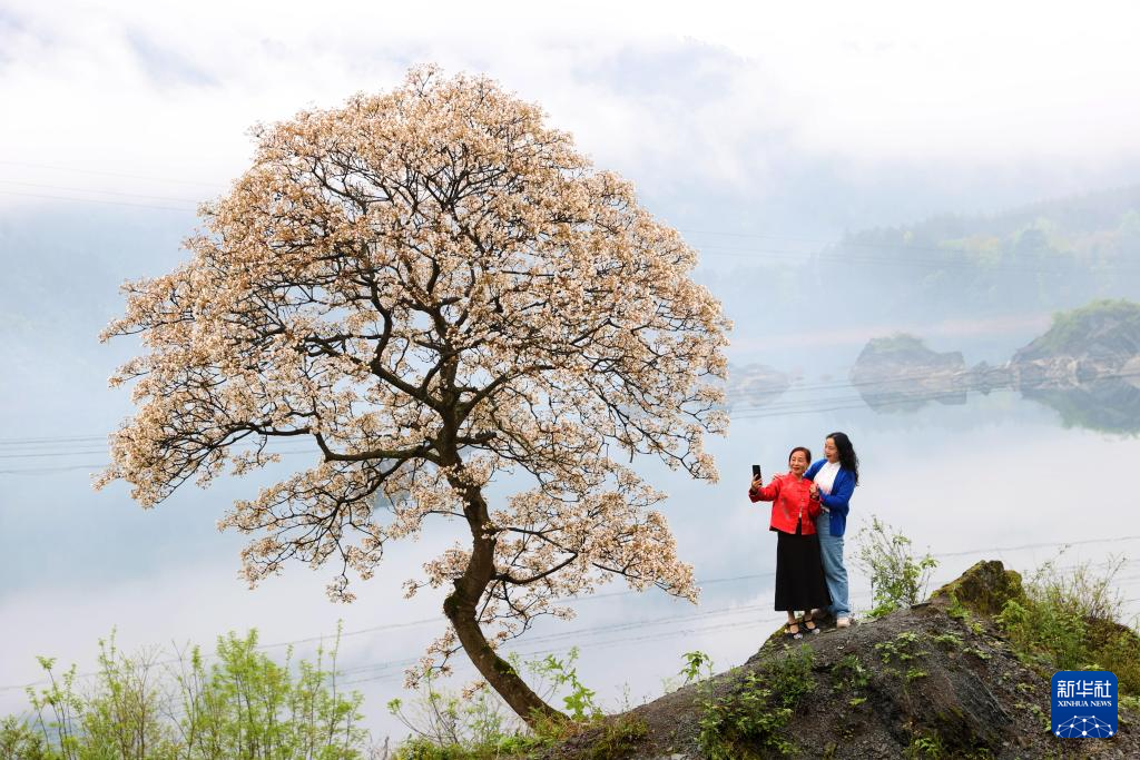 诗意中国丨春日上春山