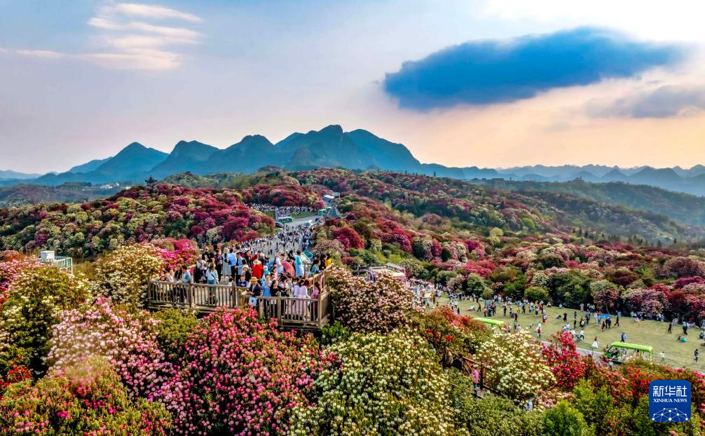 诗意中国丨春日上春山