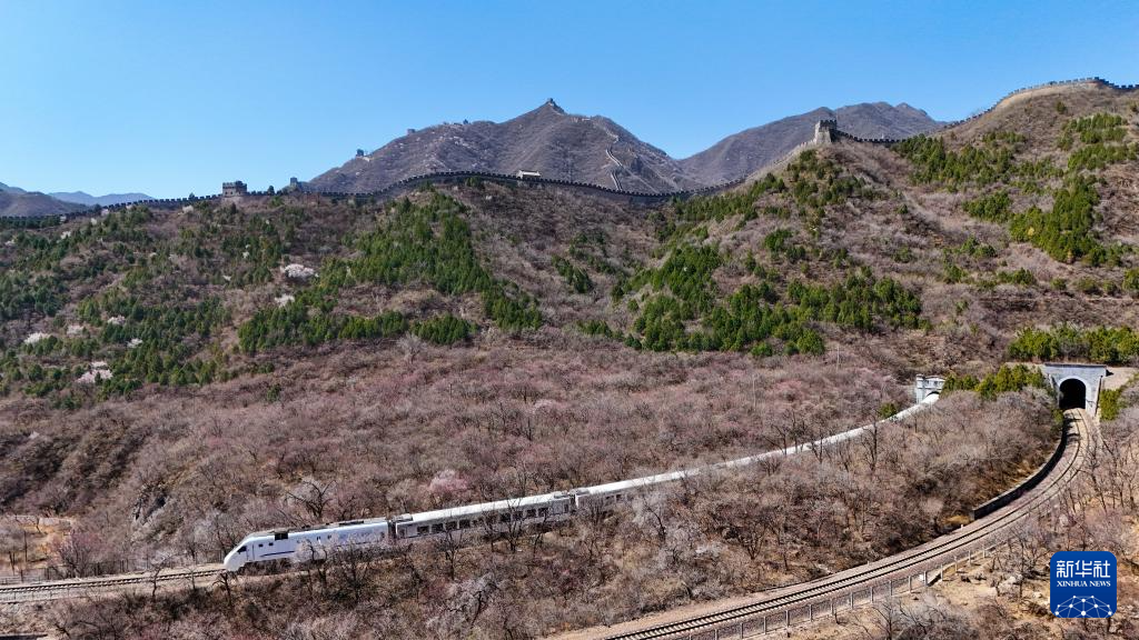 春到长城：山花烂漫山河美