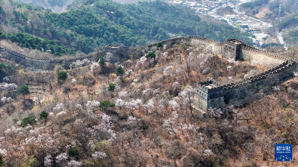 春到长城：山花烂漫山河美