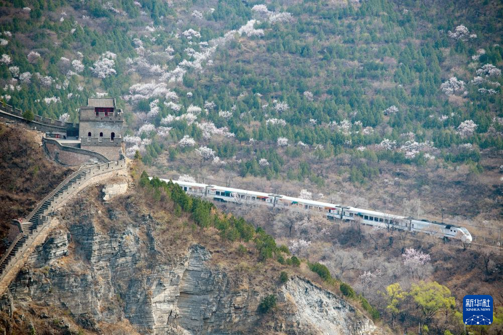 春到长城：山花烂漫山河美