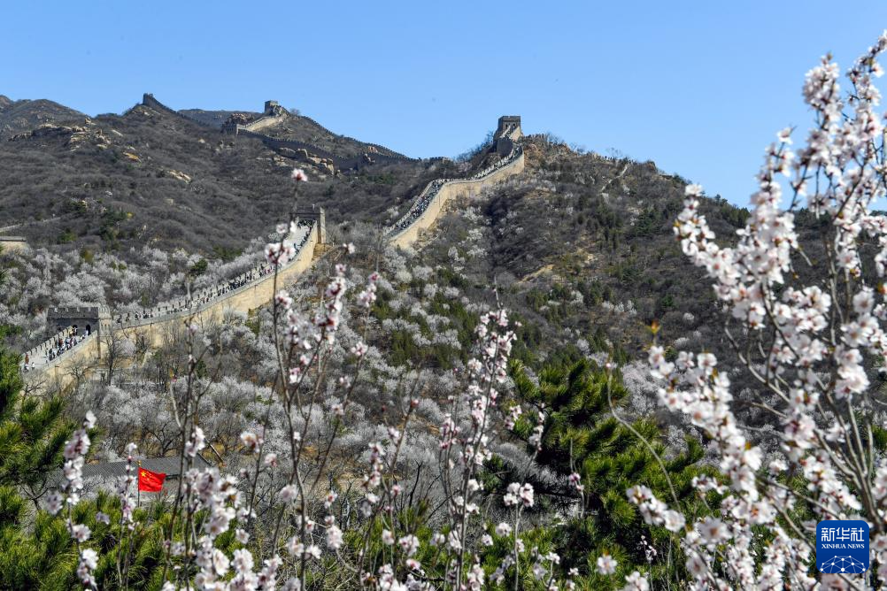 春到长城：山花烂漫山河美