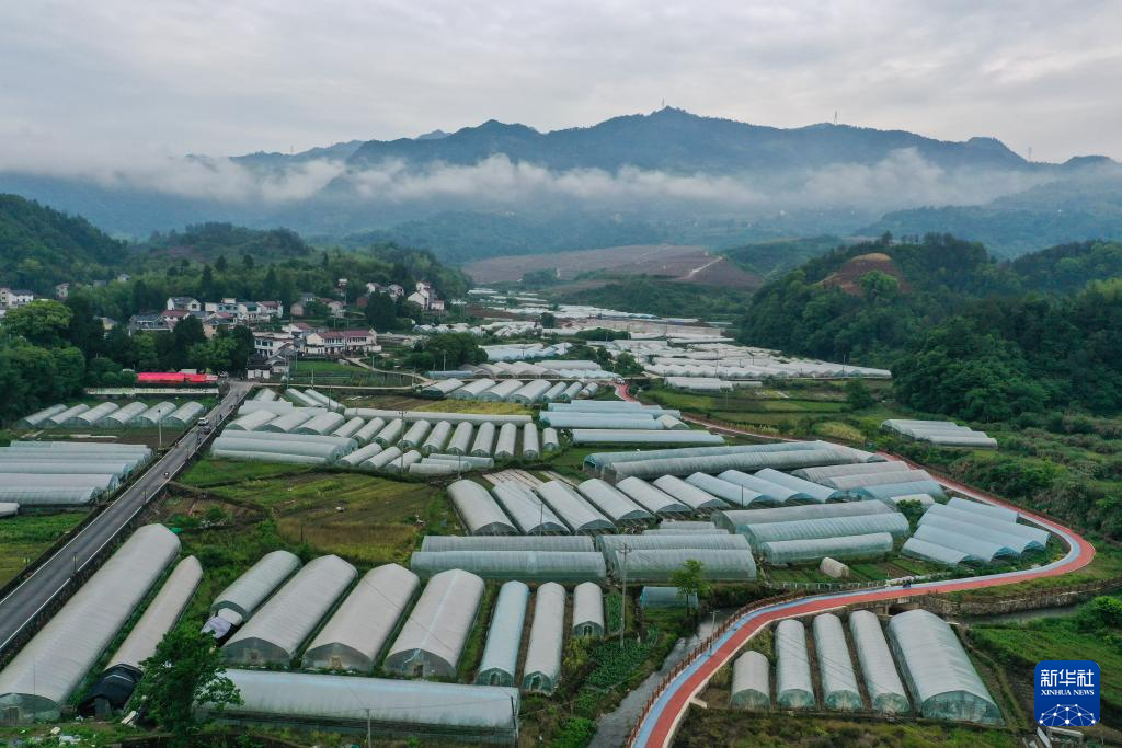 浙江建德：头茬西瓜“五一”抢鲜上市