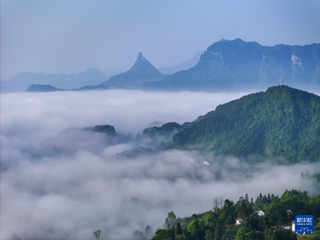 飞阅中国｜重庆金佛山：云绕山峦