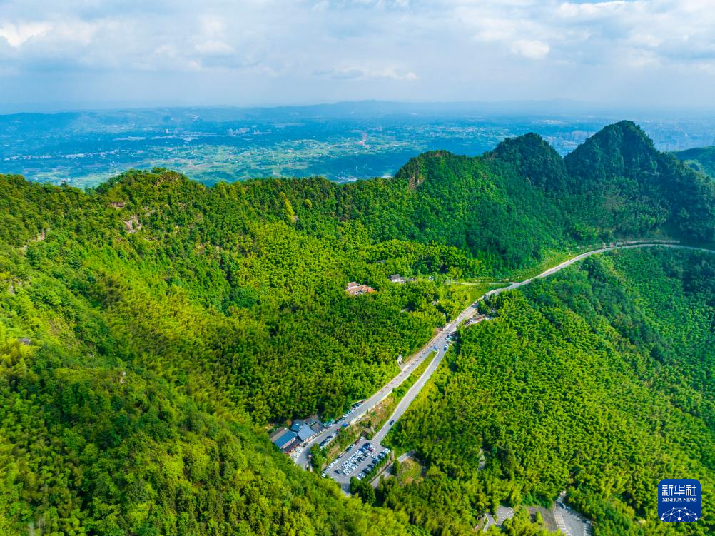 飞阅中国｜重庆：茶山竹海风光旖旎