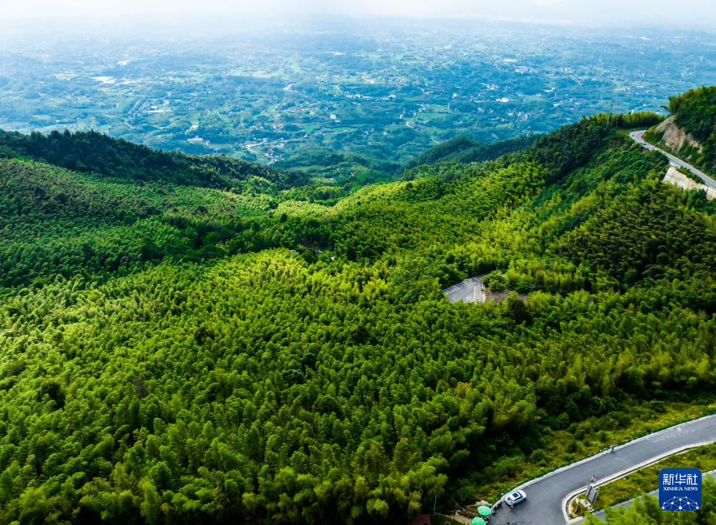 飞阅中国｜重庆：茶山竹海风光旖旎