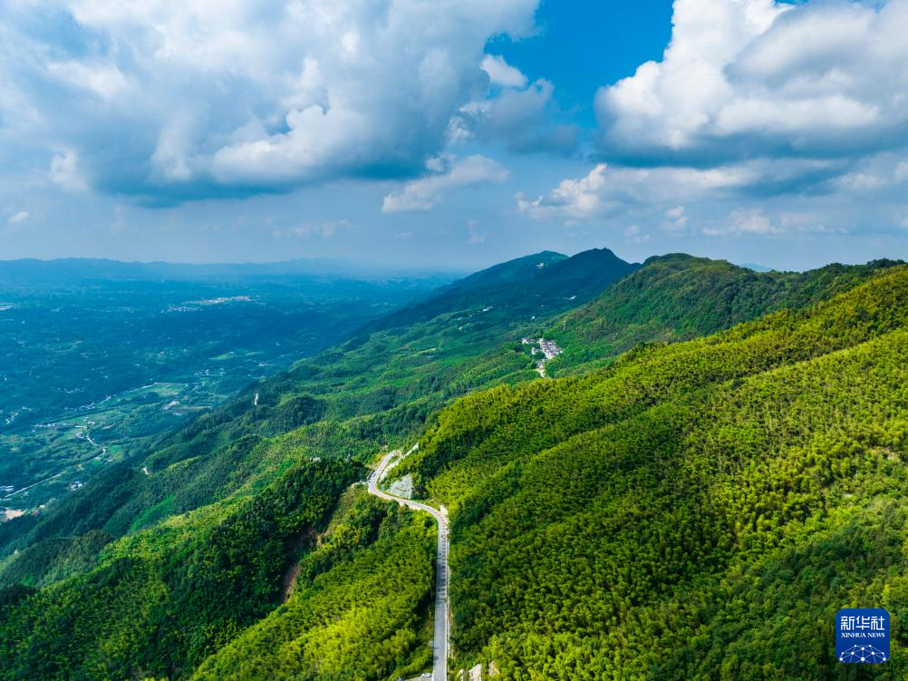 飞阅中国｜重庆：茶山竹海风光旖旎