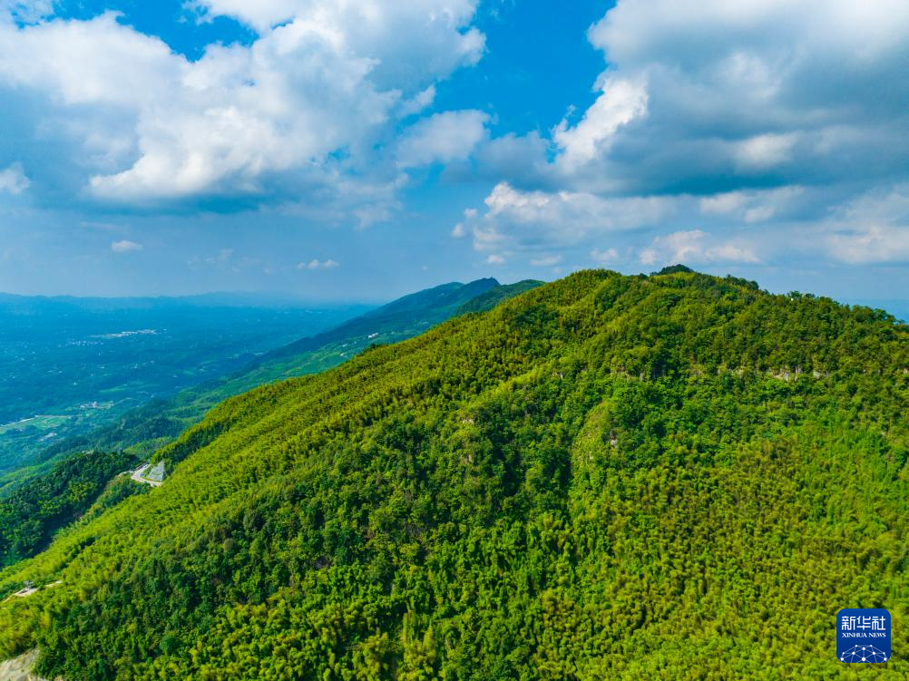 飞阅中国｜重庆：茶山竹海风光旖旎