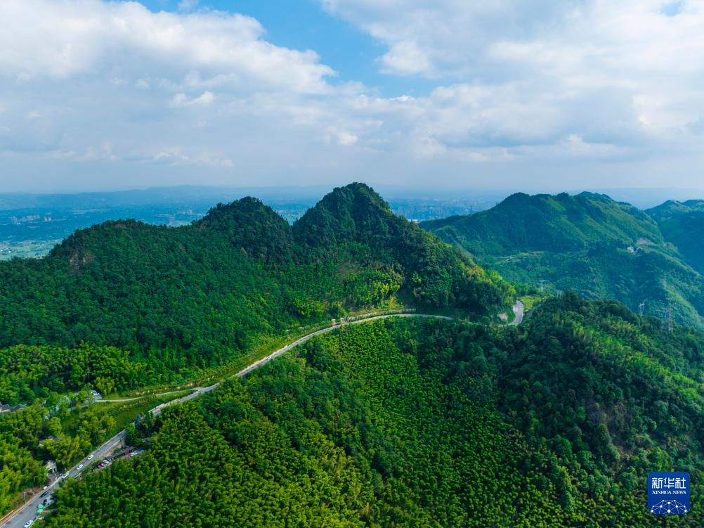 飞阅中国｜重庆：茶山竹海风光旖旎