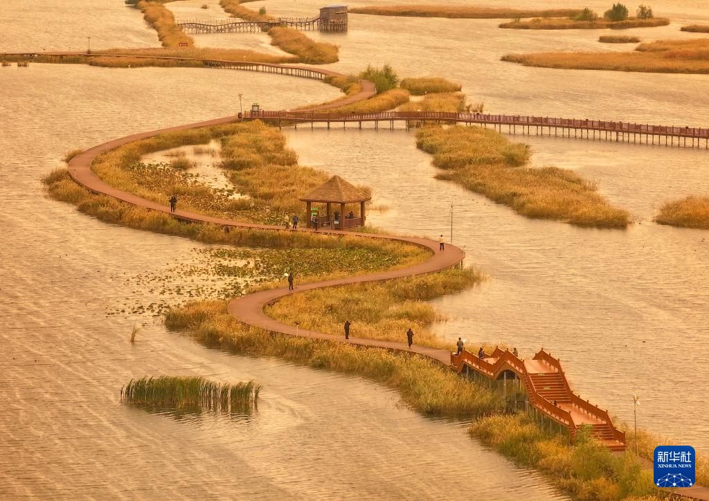 富锦湿地 秋景如画