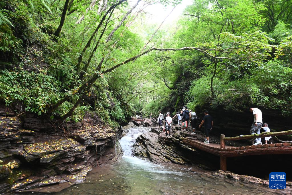 新时代中国调研行之看区域·西部篇｜宁夏六盘山：黄土高原上的“绿色明珠”