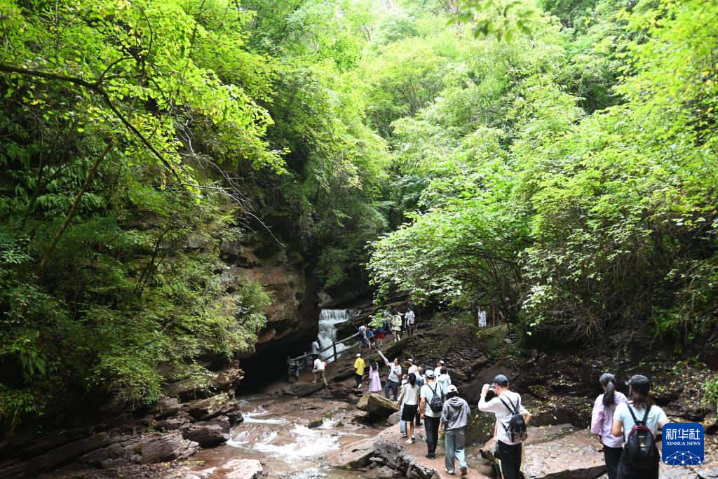 新时代中国调研行之看区域·西部篇｜宁夏六盘山：黄土高原上的“绿色明珠”