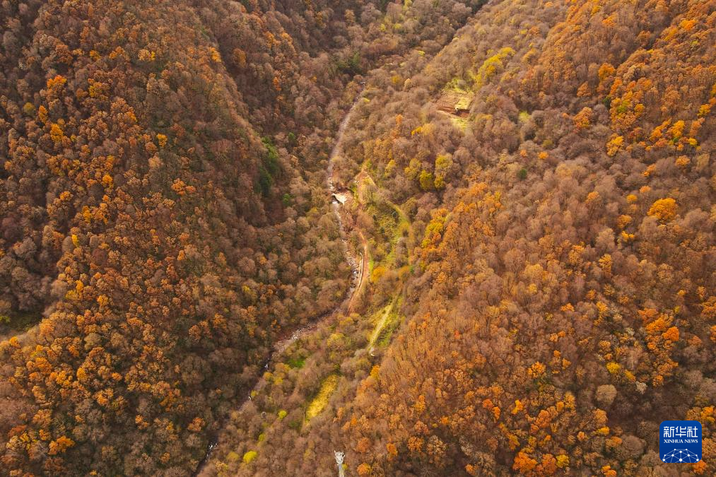 新时代中国调研行之看区域·西部篇｜宁夏六盘山：黄土高原上的“绿色明珠”