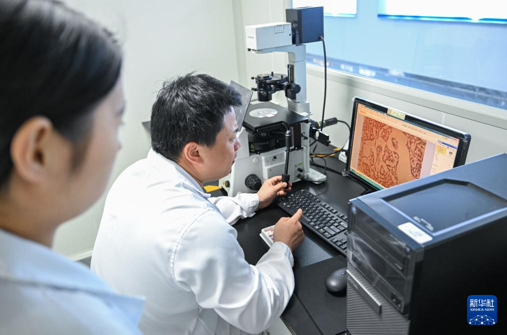 水中精灵的守护者