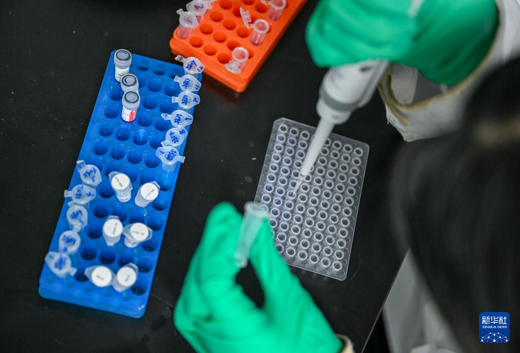 水中精灵的守护者