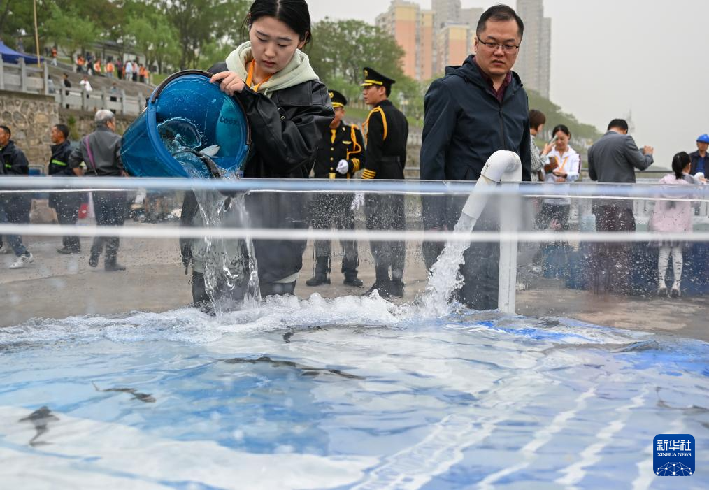 水中精灵的守护者