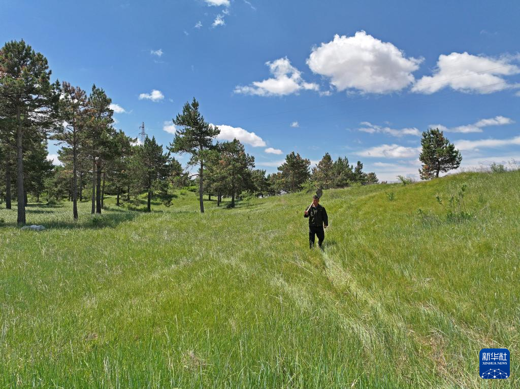 辽宁彰武：“沙窝子”焕新颜