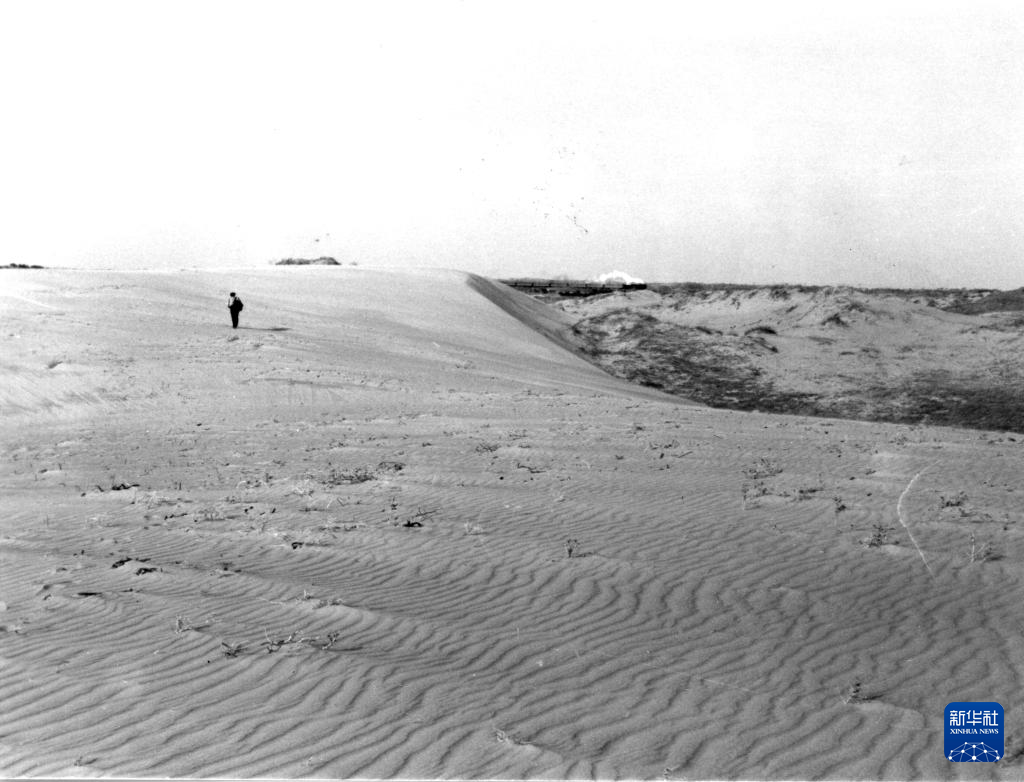 辽宁彰武：“沙窝子”焕新颜