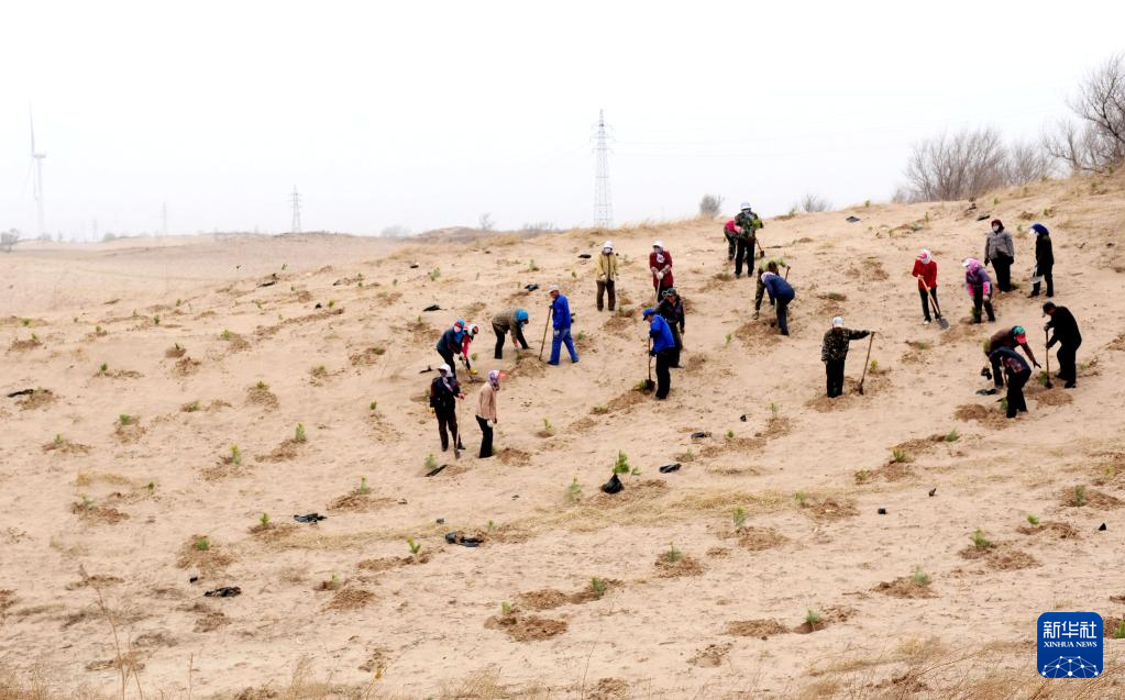 辽宁彰武：“沙窝子”焕新颜